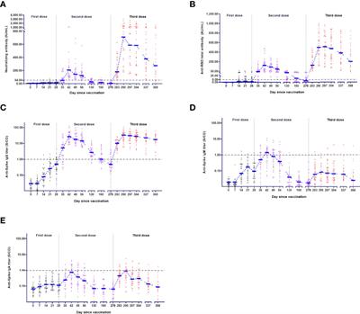 A Third Dose of an Inactivated Vaccine Dramatically Increased the Levels and Decay Times of Anti-SARS-CoV-2 Antibodies, but Disappointingly Declined Again: A Prospective, Longitudinal, Cohort Study at 18 Serial Time Points Over 368 Days